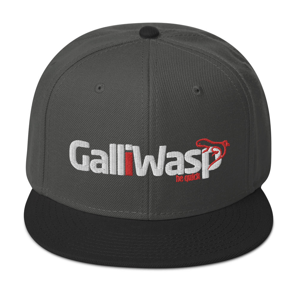 Galliwasp logo Snapback Hat