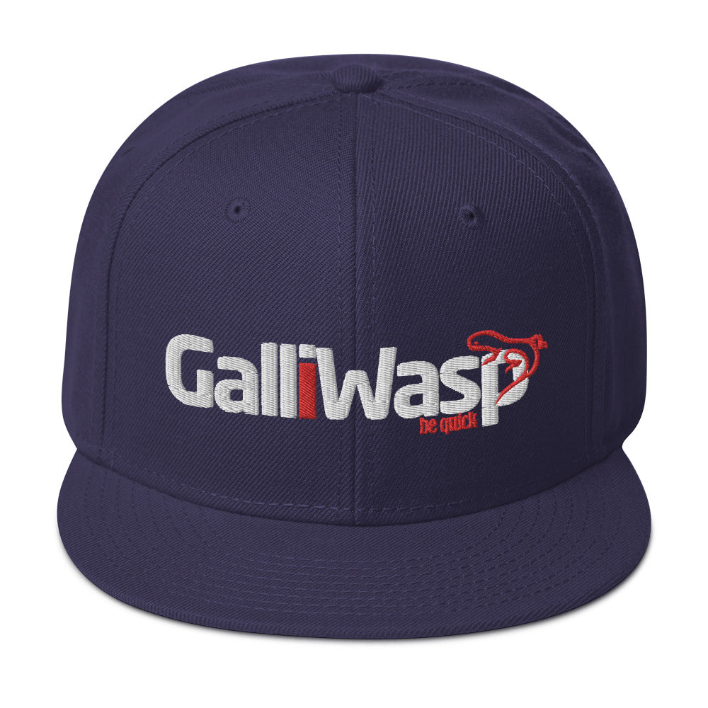 Galliwasp logo Snapback Hat