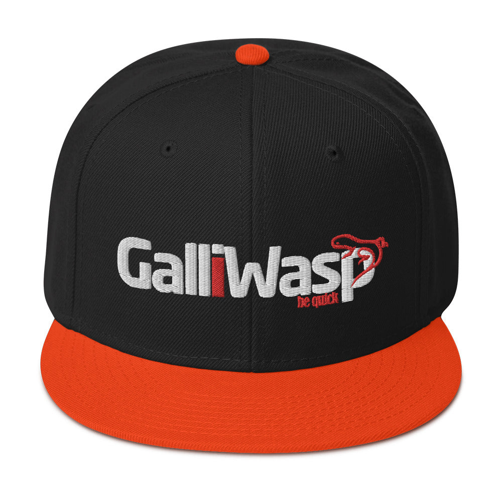 Galliwasp logo Snapback Hat