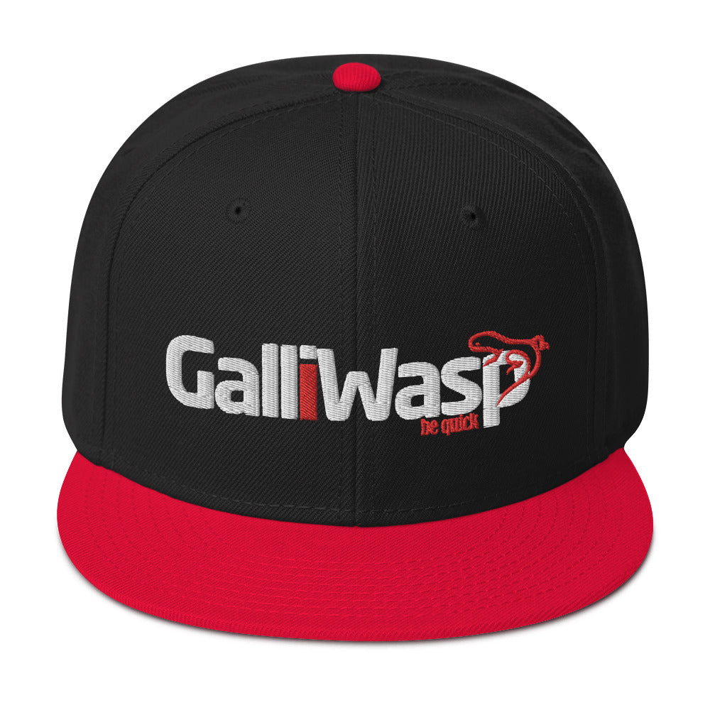 Galliwasp logo Snapback Hat